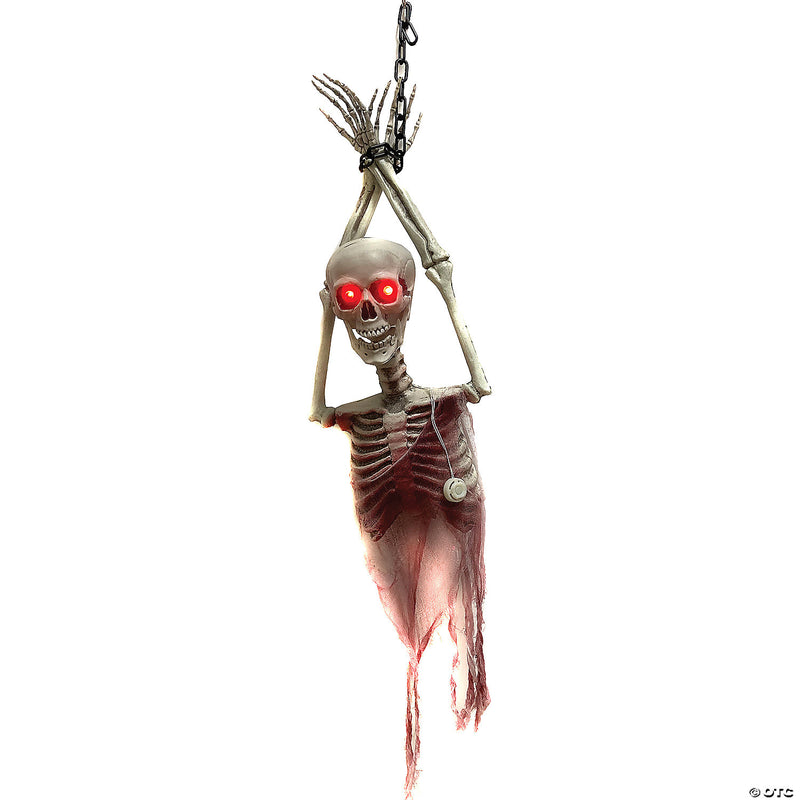 Skeleton Torso Light Up - image 1