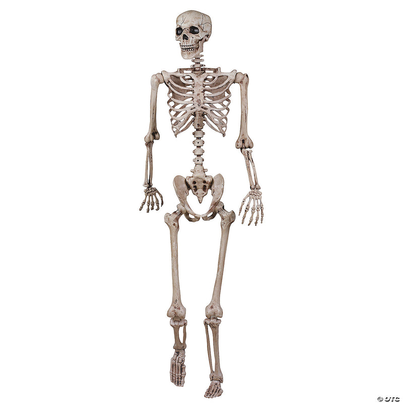 62" Poseable Skeleton Decoration - image 1