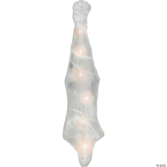 Skeleton"Spider Cocoon