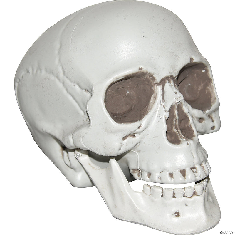 Skull with Moveable Jaw Halloween Decoration - image 1