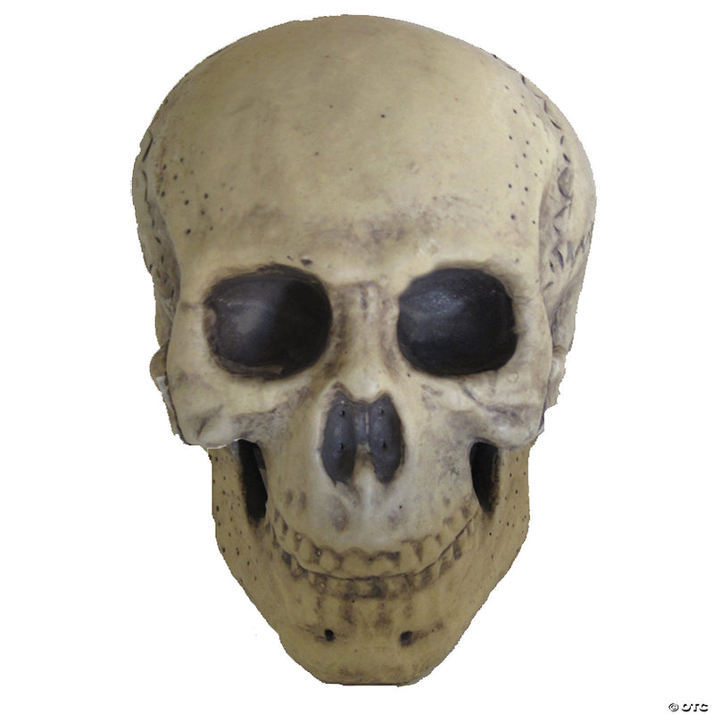 9.5" Foam Skull Decoration - image 1