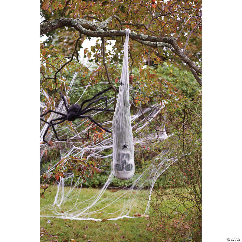 Skull in Spider Cocoon - image 1