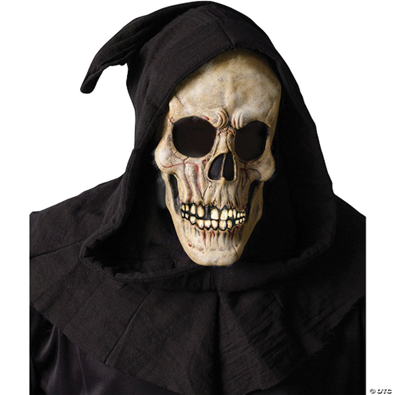 Skull Mask - image 1