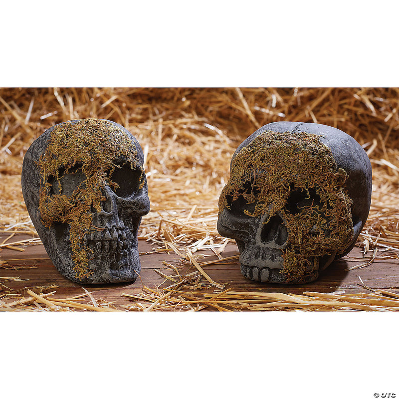 Skull Moss Covered No Jaw - image 1
