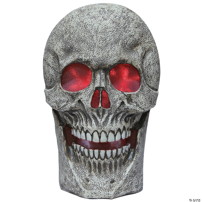 Skull With Light And Sound - image 1