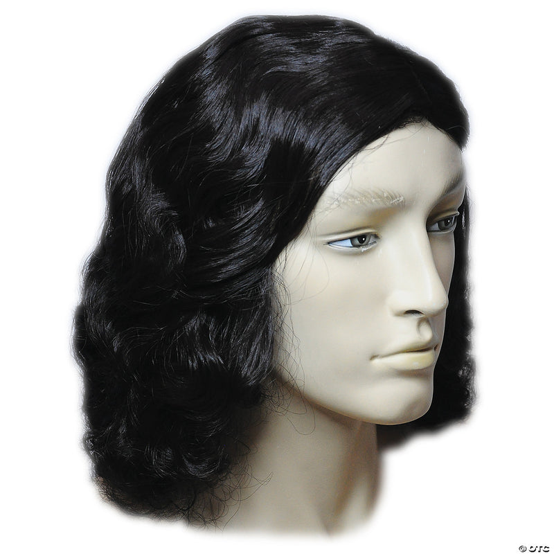 Special Bargain Biblical Wig - AUBURN - image 1