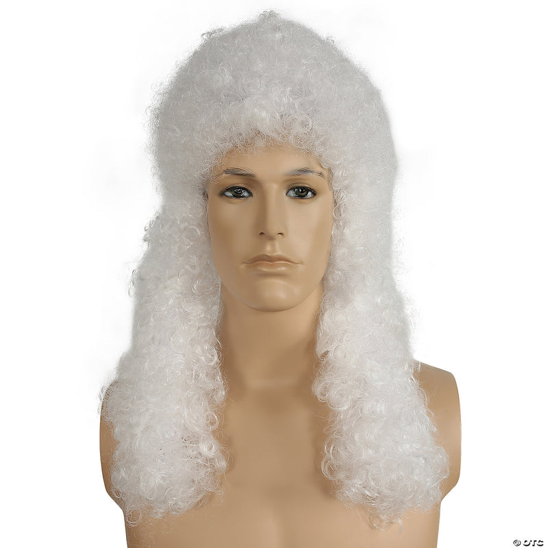 17th Century Judge Wig - image 1