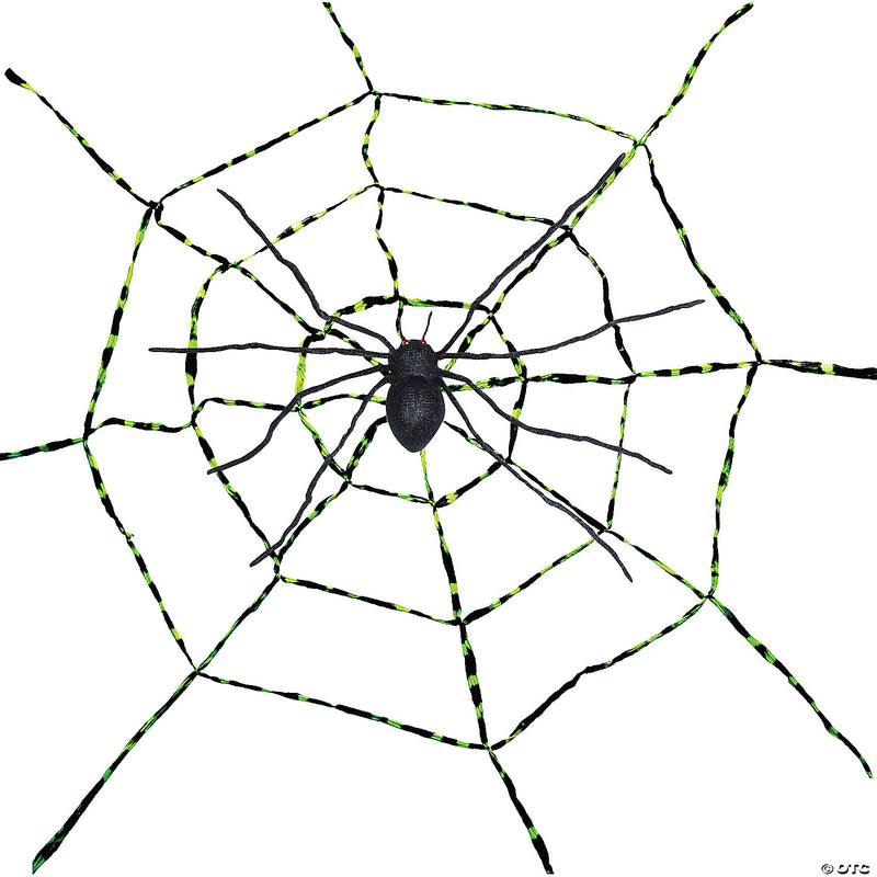 Spiderweb With Spider - image 1