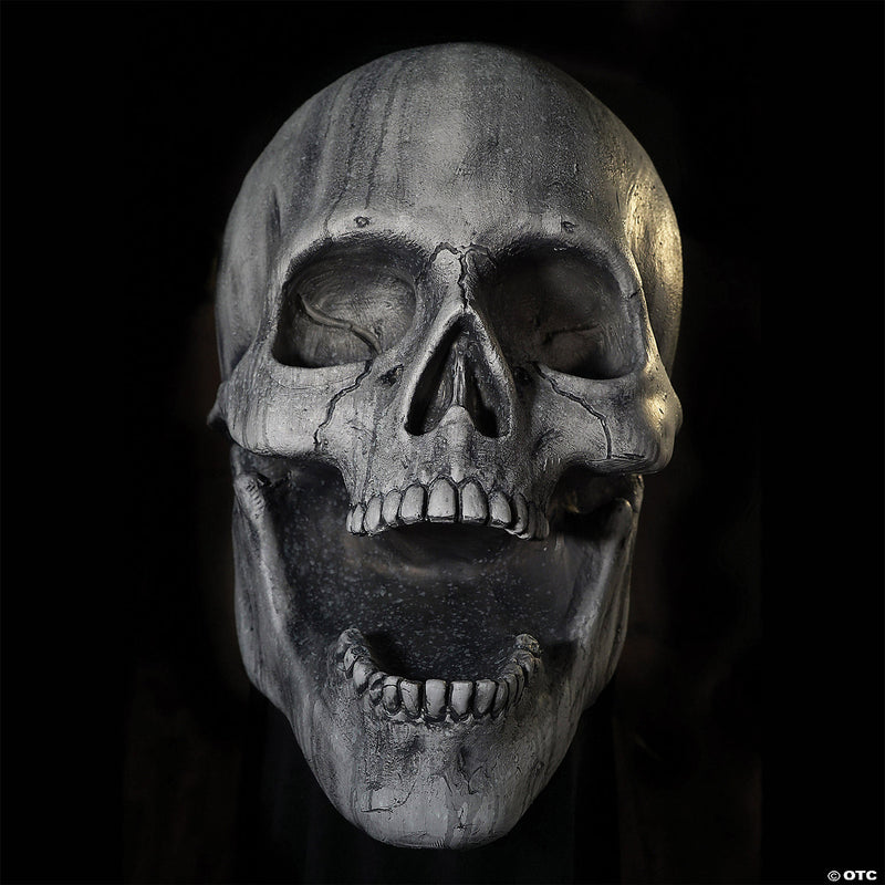 Stone Skull Prop - image 1
