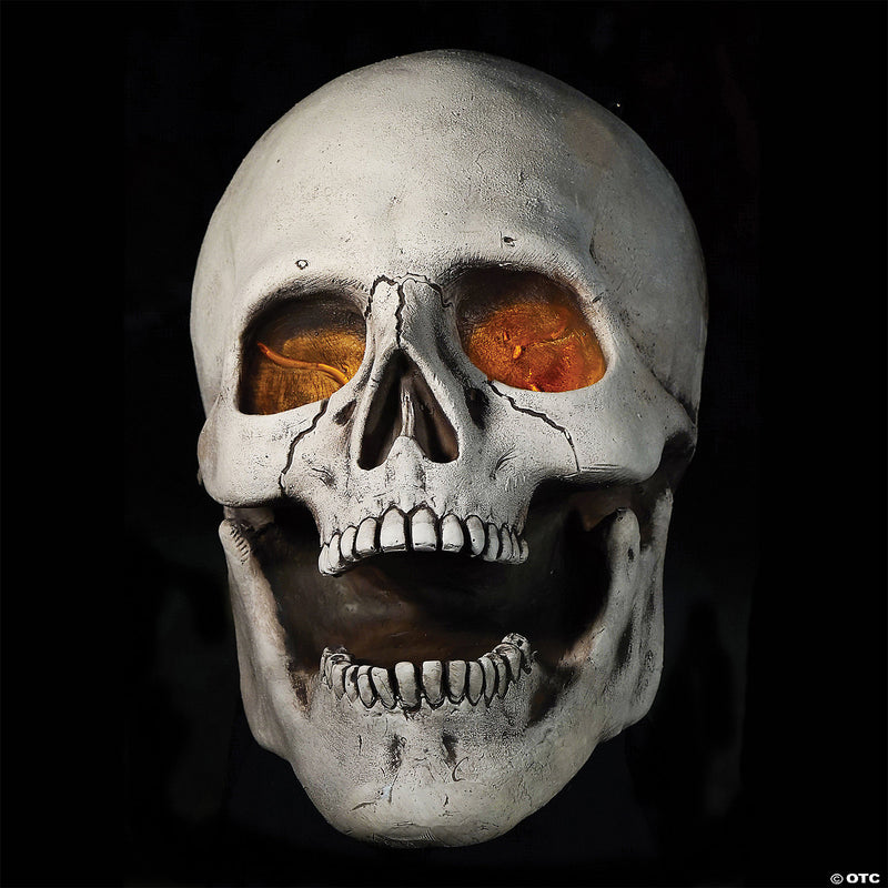Super Skull Prop - image 1