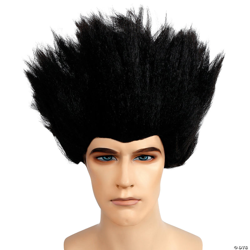 Traditional Fright Wig - image 1