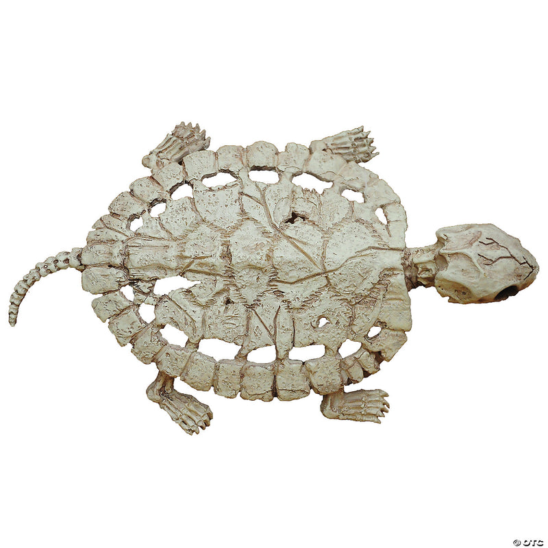 Turtle Skeleton Decoration - image 1