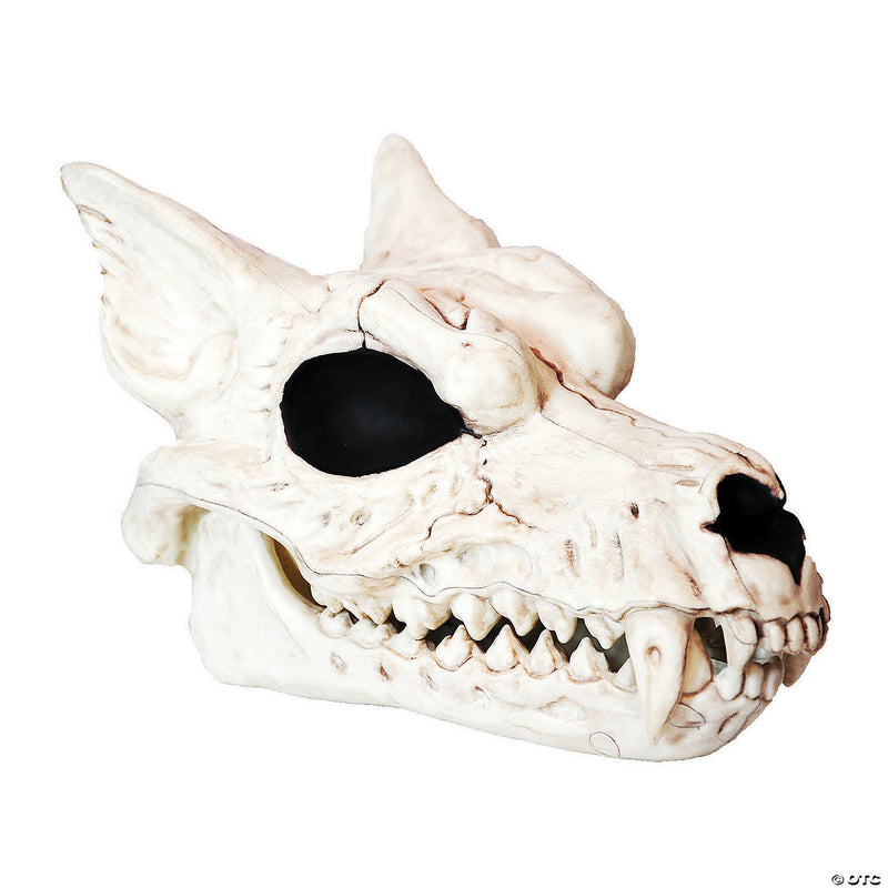Werewolf Skull Halloween | Costume-shop.com