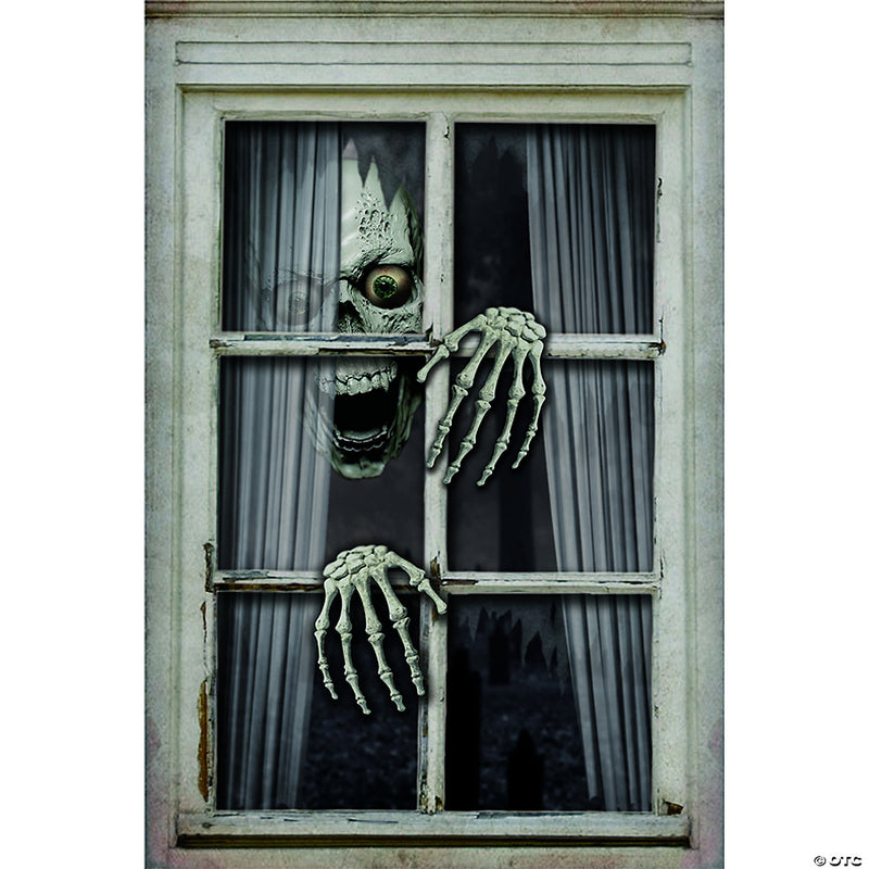 Window Skull And Hand Fake - image 1