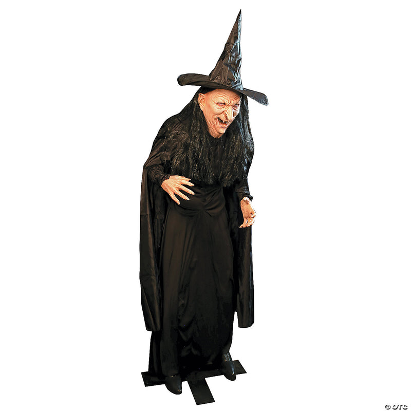 Witch Legend Static Prop - image 1