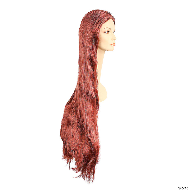 Full-Length Straight Cher Wig - ASH - image 2