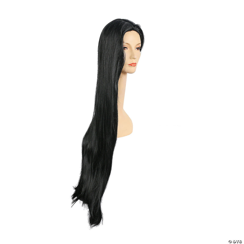 Full-Length Straight Cher Wig - ASH - image 3