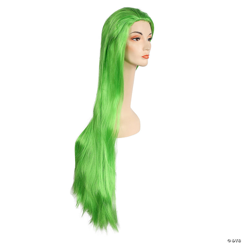 Full-Length Straight Cher Wig - ASH - image 4