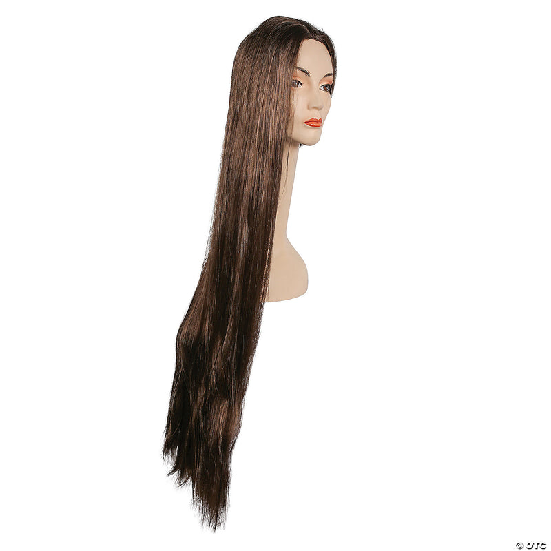 Full-Length Straight Cher Wig - ASH - image 7