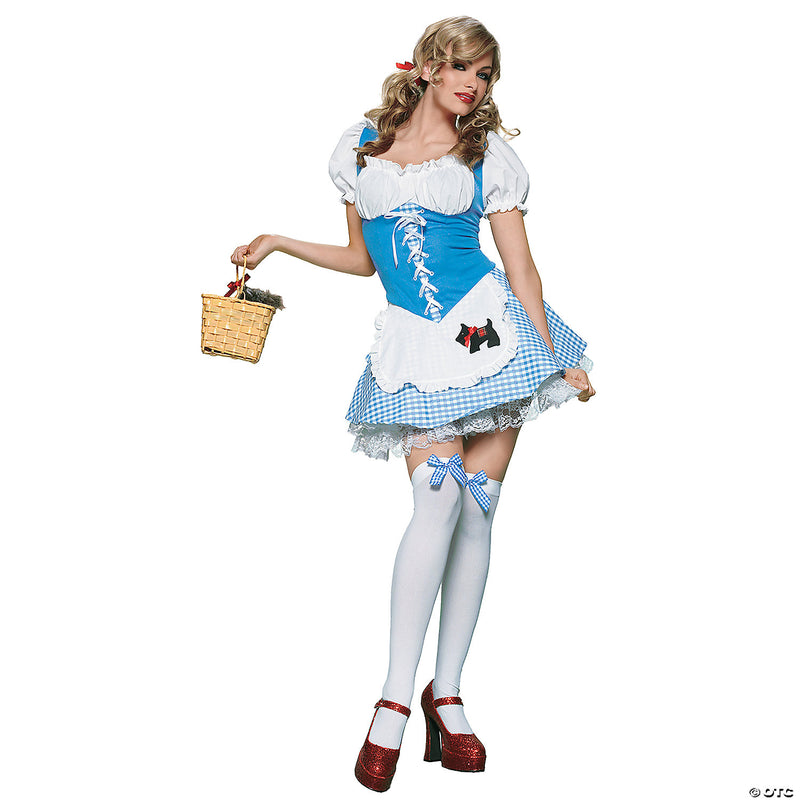 Women's Picnic Chick Costume - SMALL - image 2