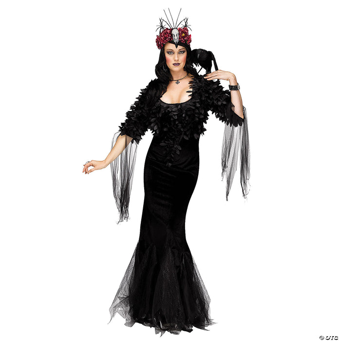 Enigmatic Raven Mistress Costume